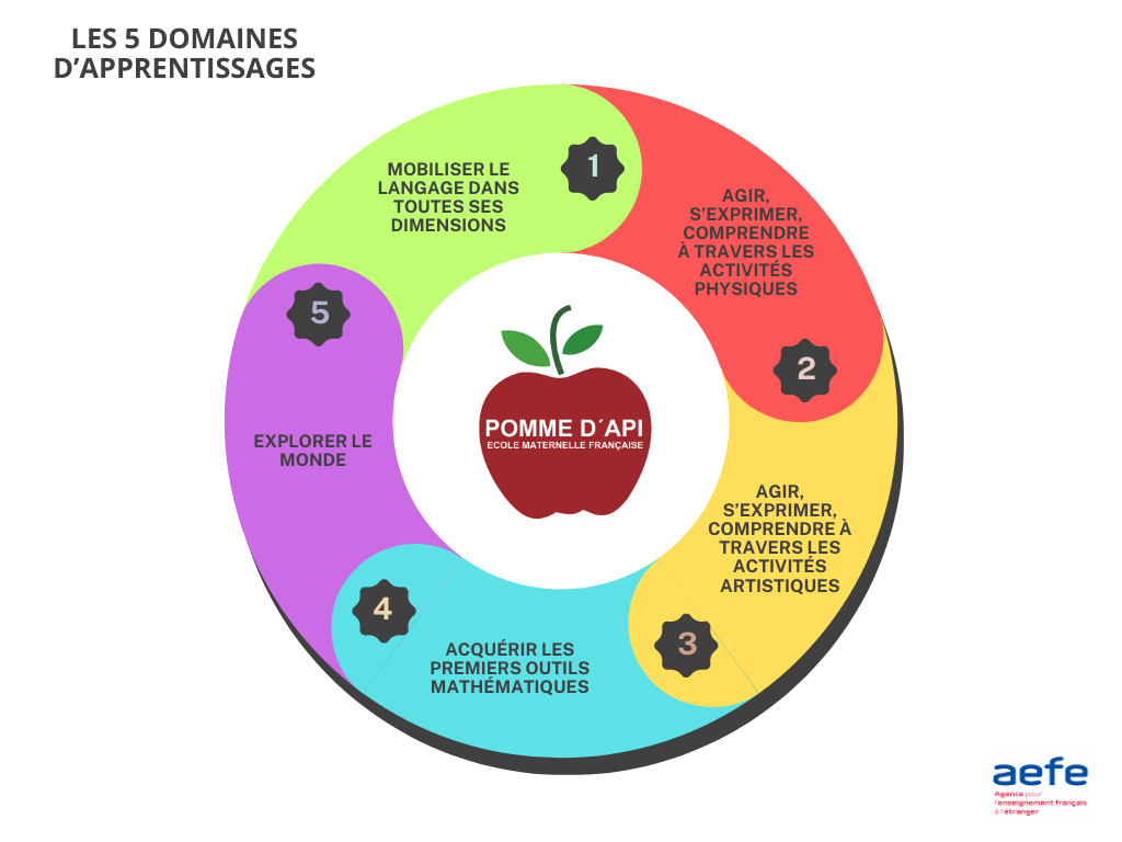 5DOMAINESDAPPRENTISSAGE